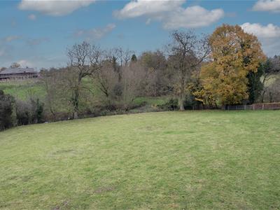 Picture 22